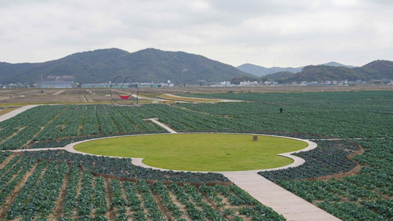 浙農(nóng)科技岱山運(yùn)營(yíng)項(xiàng)目獲人民日?qǐng)?bào)、新華社、央視等主流媒體關(guān)注