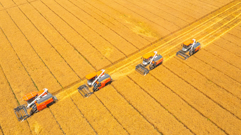 《朝聞天下》《浙江新聞聯(lián)播》關(guān)注嘉善浙農(nóng)耘糧油未來(lái)農(nóng)場(chǎng)秋糧收儲(chǔ)工作