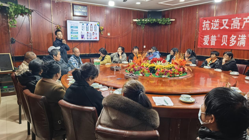 愛普科技在遼寧盤錦舉辦葡萄科學(xué)施肥培訓(xùn)暨產(chǎn)品推廣會(huì)